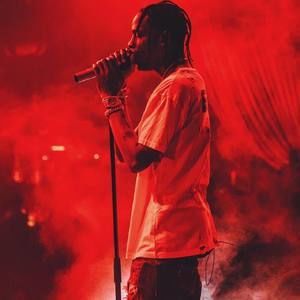 Meet your Posher, Chapins